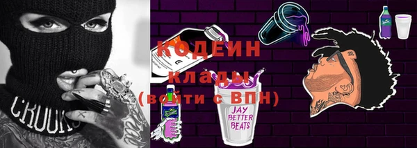 индика Приозерск
