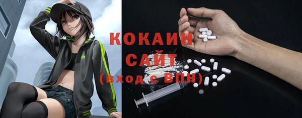 индика Приозерск