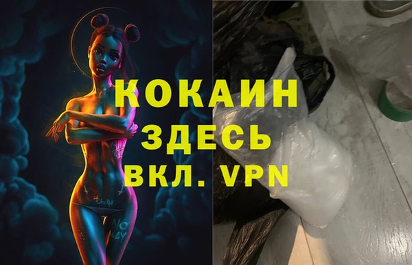 твердый Алексин